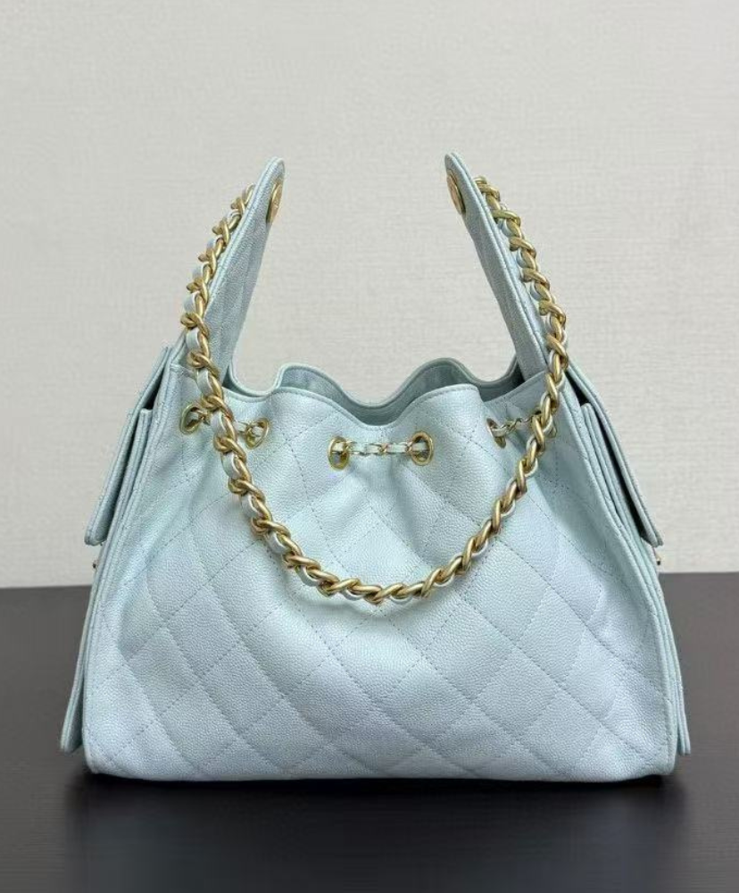 Chanel 25 Small Handbag