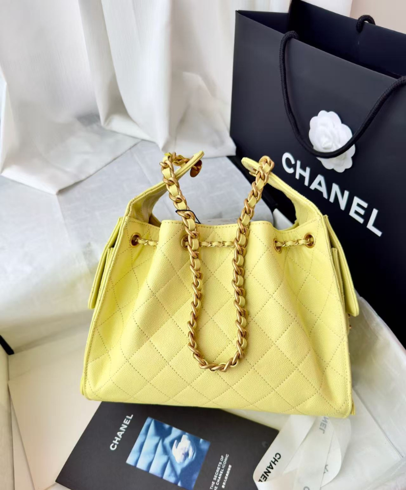 Chanel 25 Small Handbag
