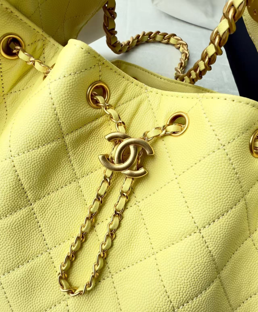 Chanel 25 Small Handbag