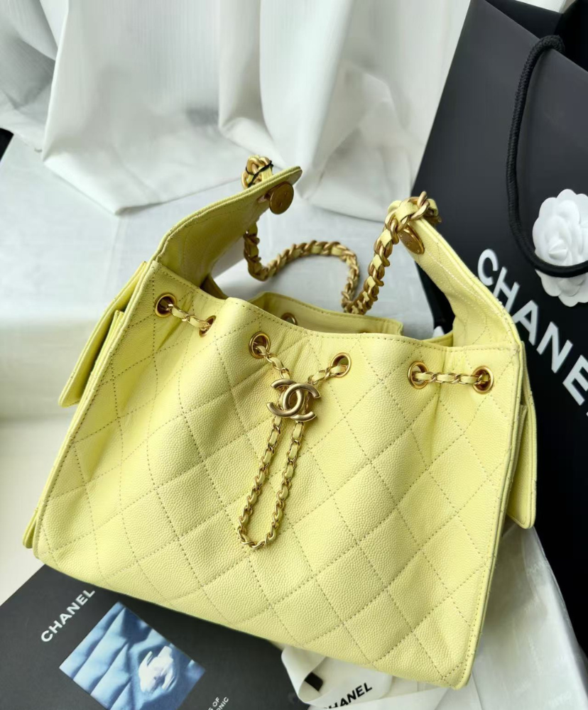 Chanel 25 Small Handbag