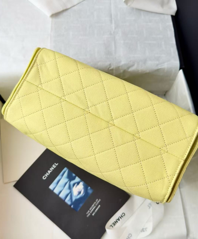 Chanel 25 Small Handbag