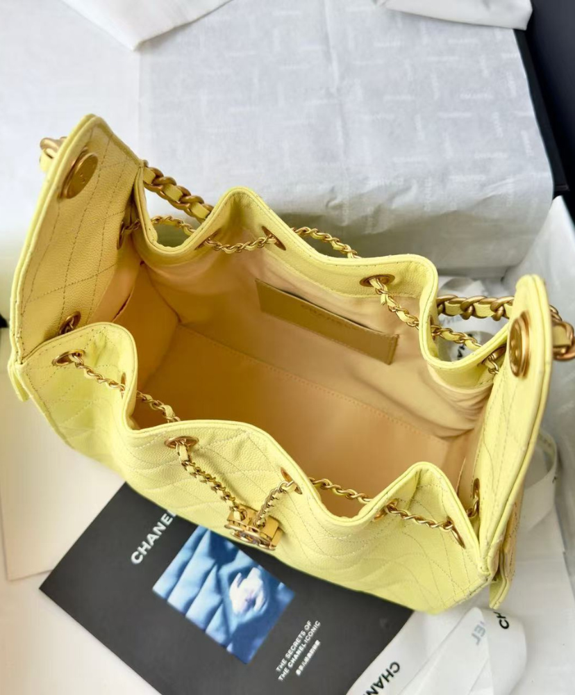 Chanel 25 Small Handbag