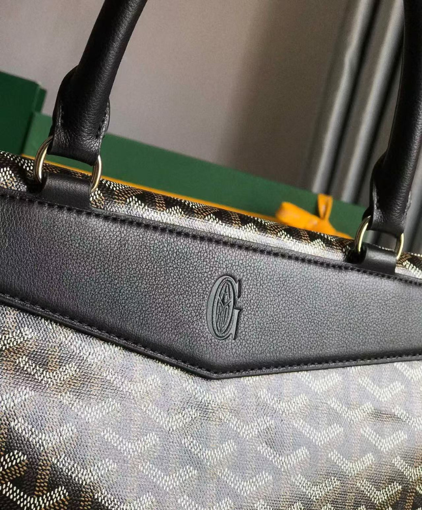 Cisalpin Document Case