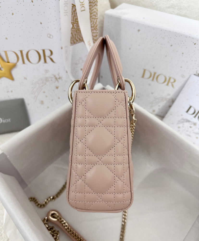Mini Lady Dior Bag