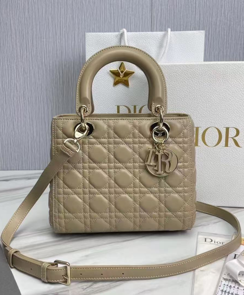 Medium Lady Dior Bag