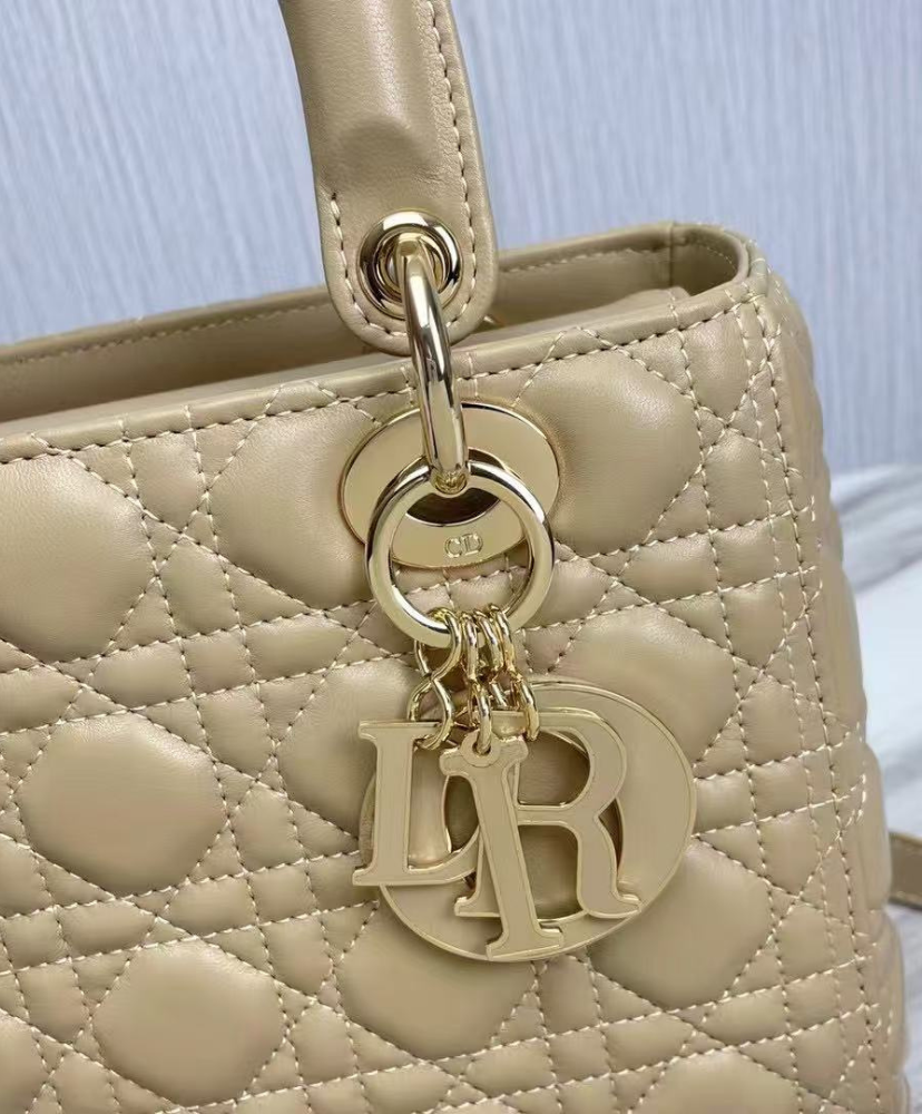 Medium Lady Dior Bag