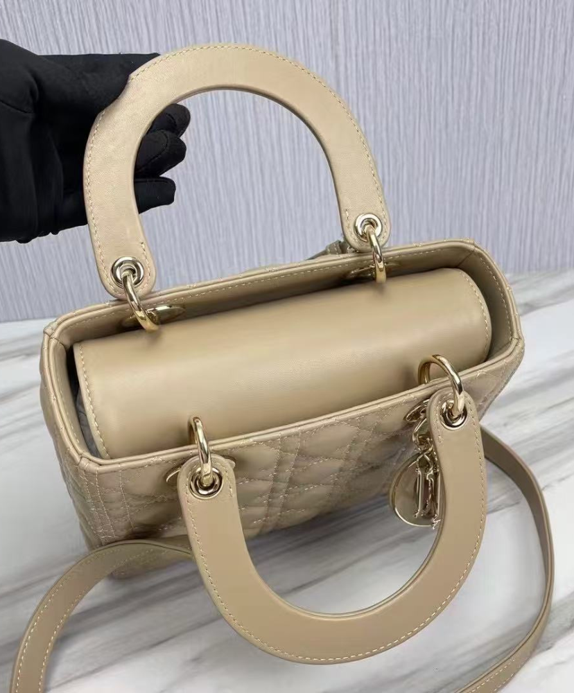 Medium Lady Dior Bag