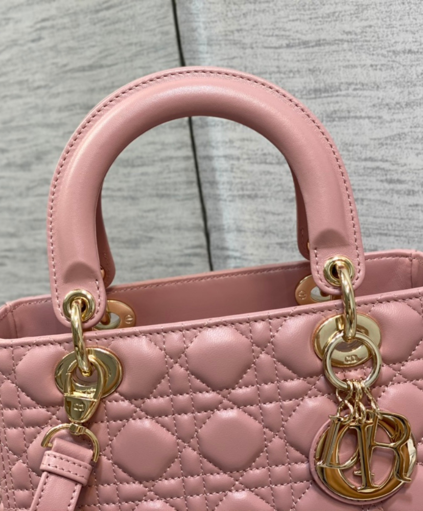 Medium Lady Dior Bag