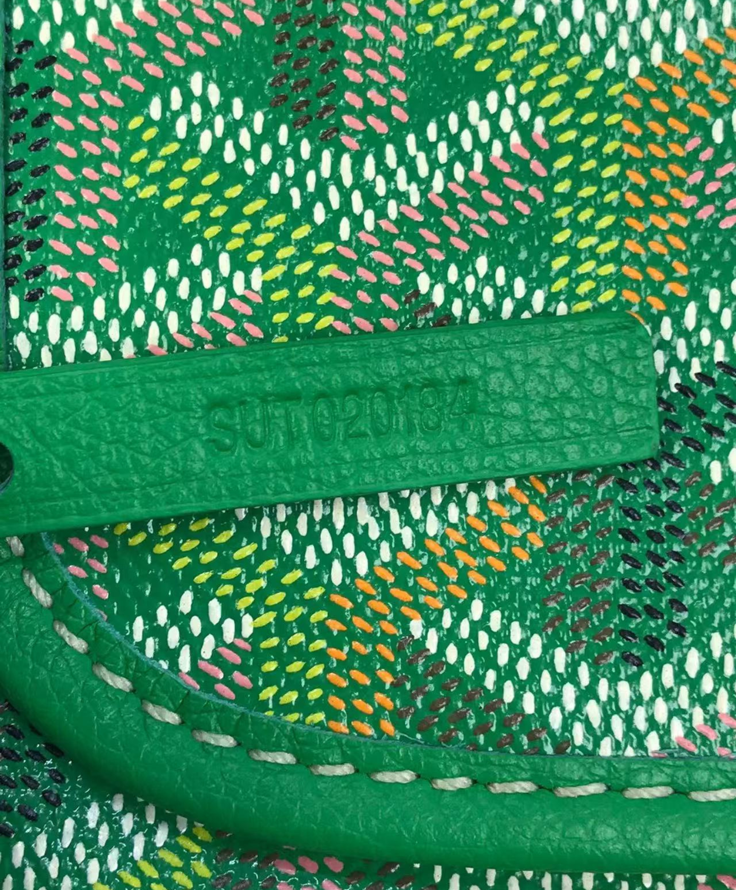 Saint Louis PM Bag Multicolored