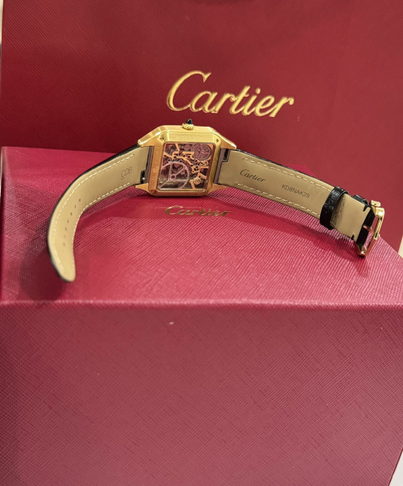 Santos-Dumont Skeleton 31