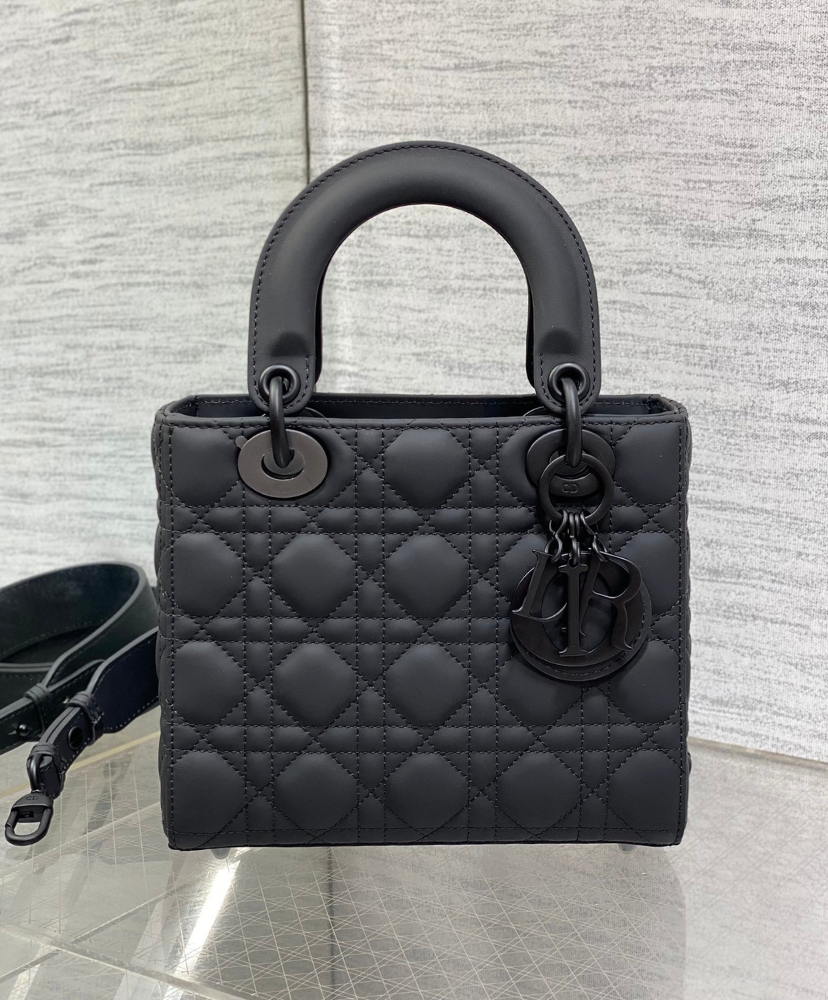 Small Lady Dior My ABCDior Bag