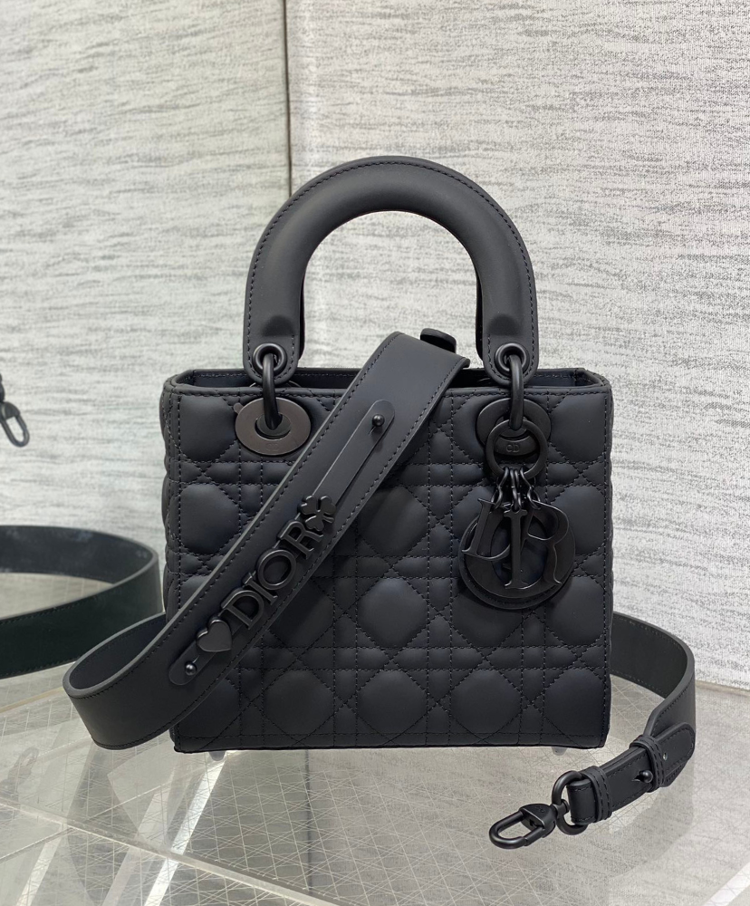 Small Lady Dior My ABCDior Bag