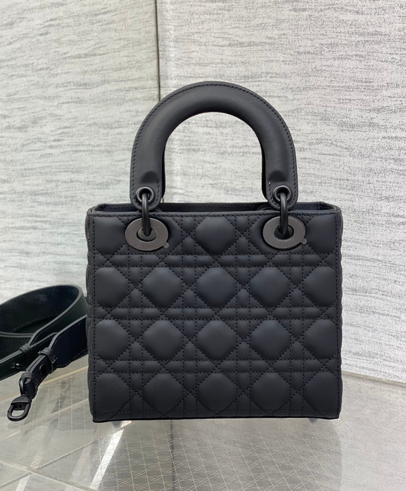 Small Lady Dior My ABCDior Bag