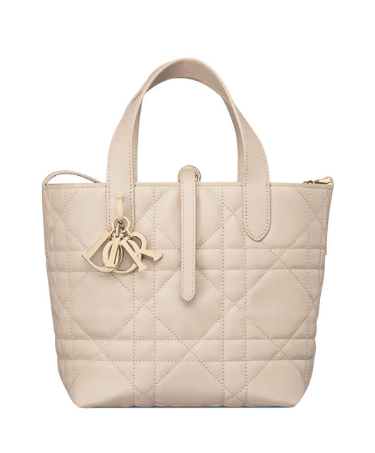 Small Dior Toujours Vertical Tote Bag