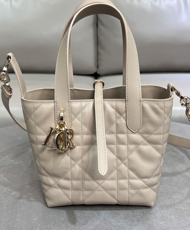 Small Dior Toujours Vertical Tote Bag