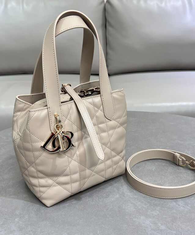 Small Dior Toujours Vertical Tote Bag