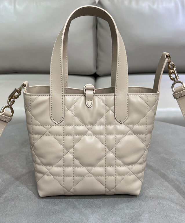 Small Dior Toujours Vertical Tote Bag