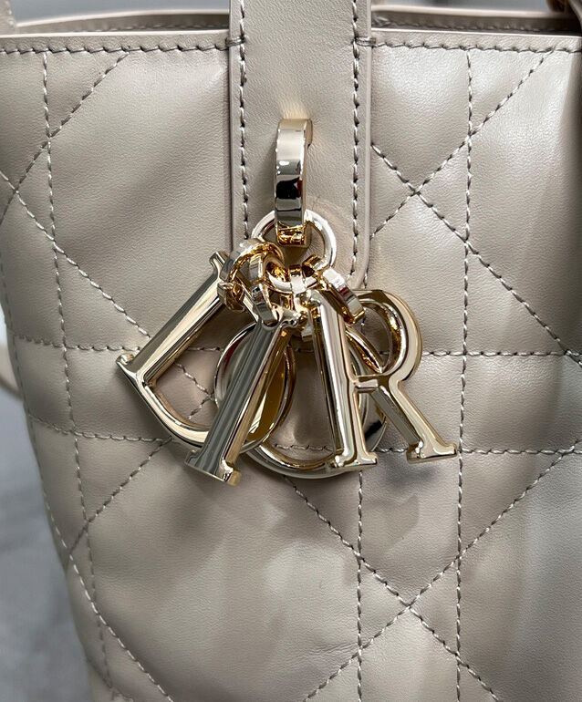 Small Dior Toujours Vertical Tote Bag