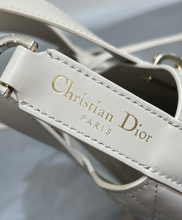 Small Dior Toujours Vertical Tote Bag