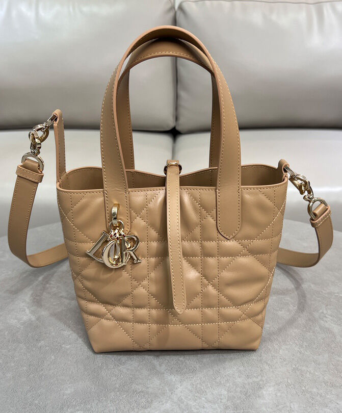 Small Dior Toujours Vertical Tote Bag