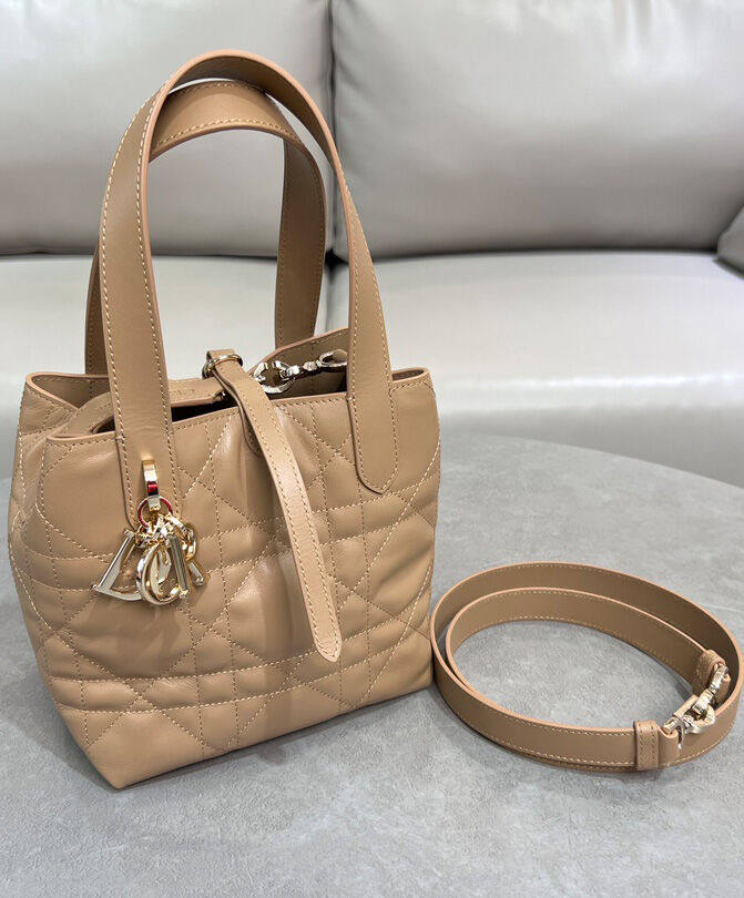 Small Dior Toujours Vertical Tote Bag