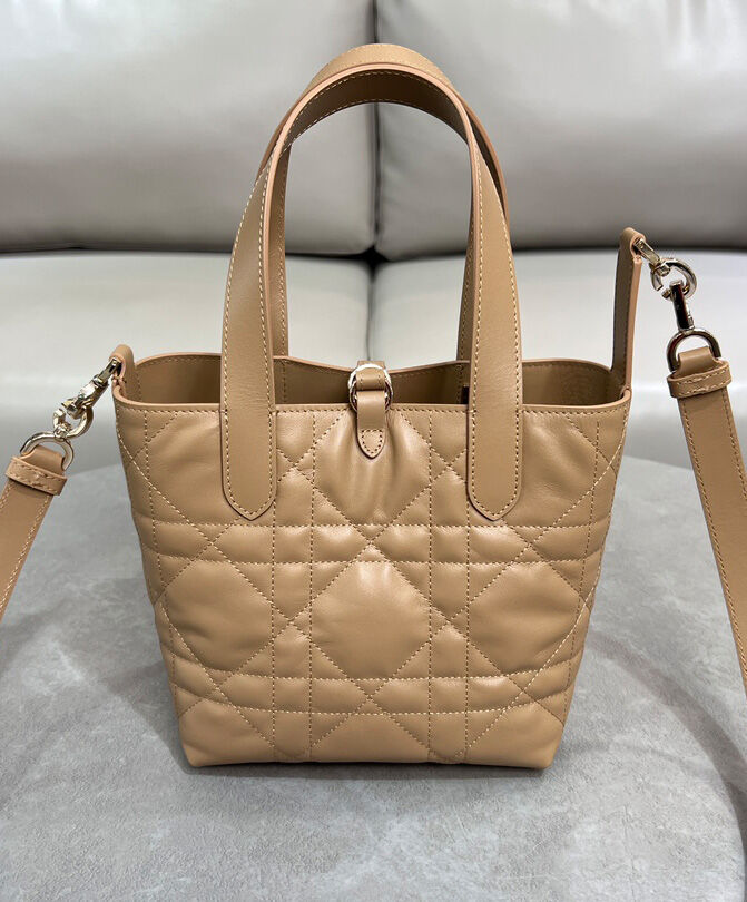 Small Dior Toujours Vertical Tote Bag