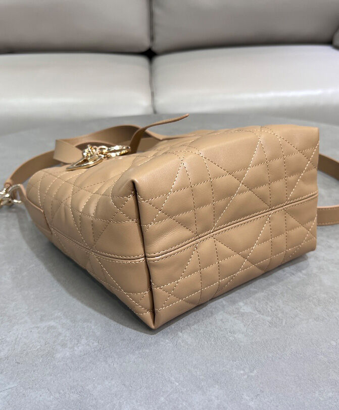 Small Dior Toujours Vertical Tote Bag