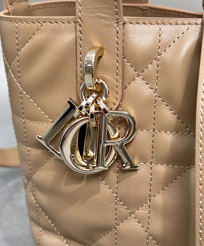 Small Dior Toujours Vertical Tote Bag