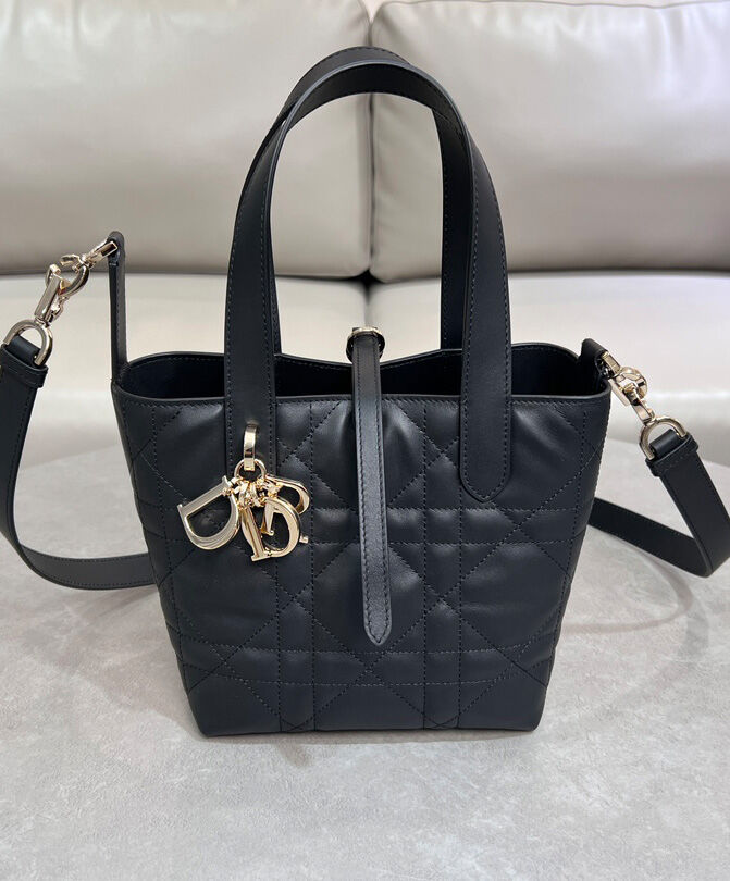Small Dior Toujours Vertical Tote Bag