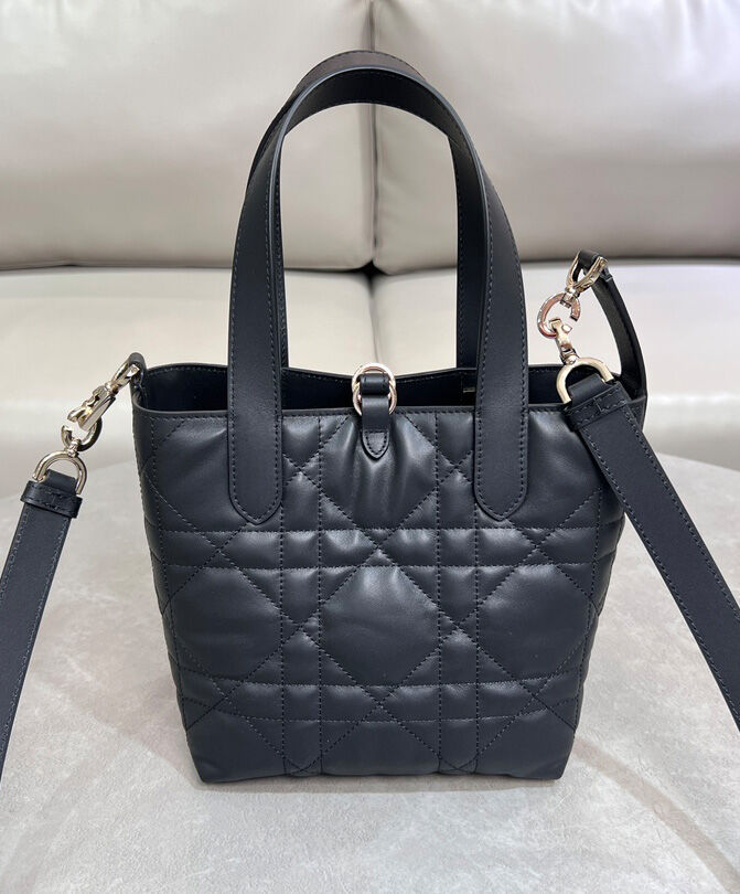 Small Dior Toujours Vertical Tote Bag