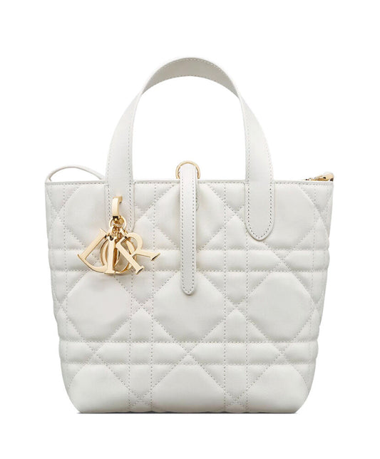 Small Dior Toujours Vertical Tote Bag
