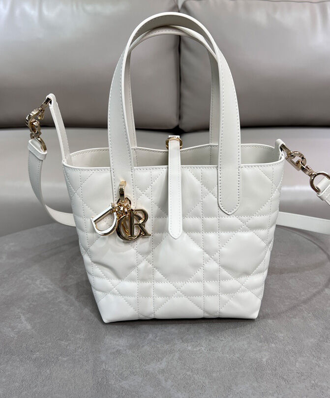 Small Dior Toujours Vertical Tote Bag