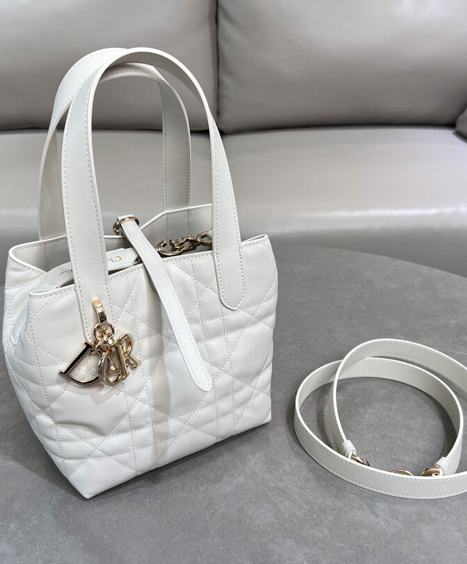 Small Dior Toujours Vertical Tote Bag