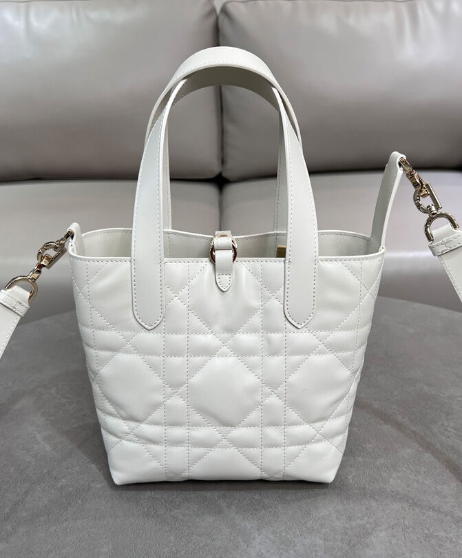 Small Dior Toujours Vertical Tote Bag
