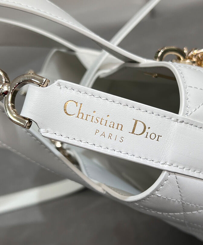 Small Dior Toujours Vertical Tote Bag