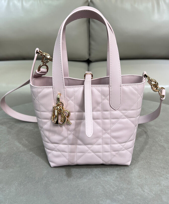 Small Dior Toujours Vertical Tote Bag