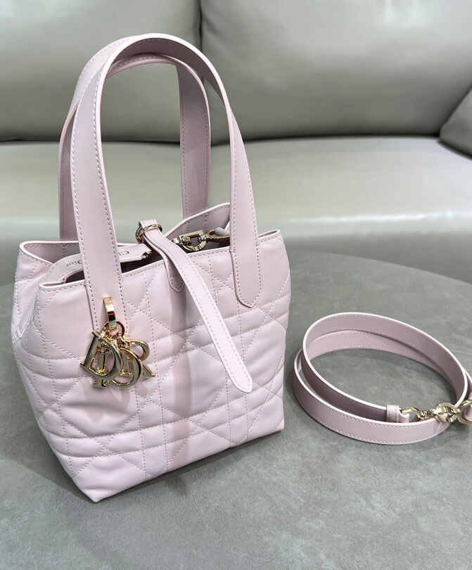 Small Dior Toujours Vertical Tote Bag