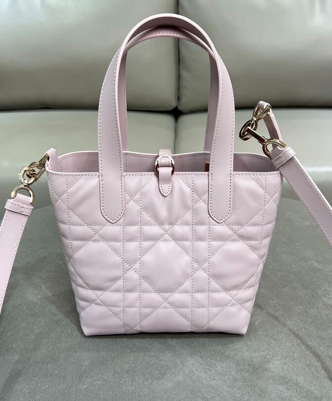 Small Dior Toujours Vertical Tote Bag