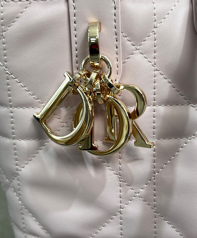 Small Dior Toujours Vertical Tote Bag