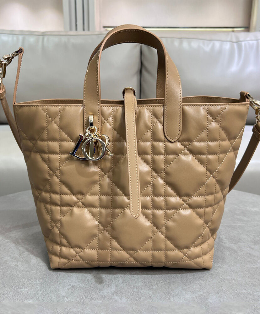 Medium Dior Toujours Vertical Tote Bag