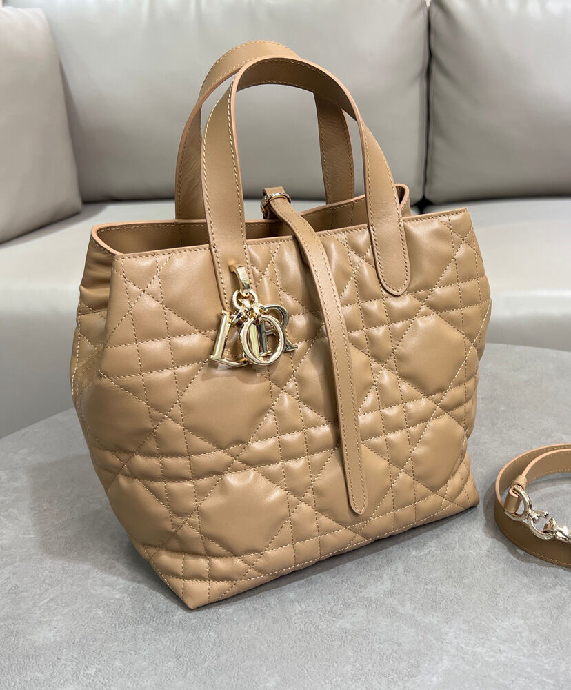 Medium Dior Toujours Vertical Tote Bag
