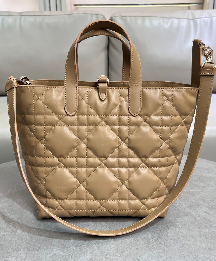 Medium Dior Toujours Vertical Tote Bag