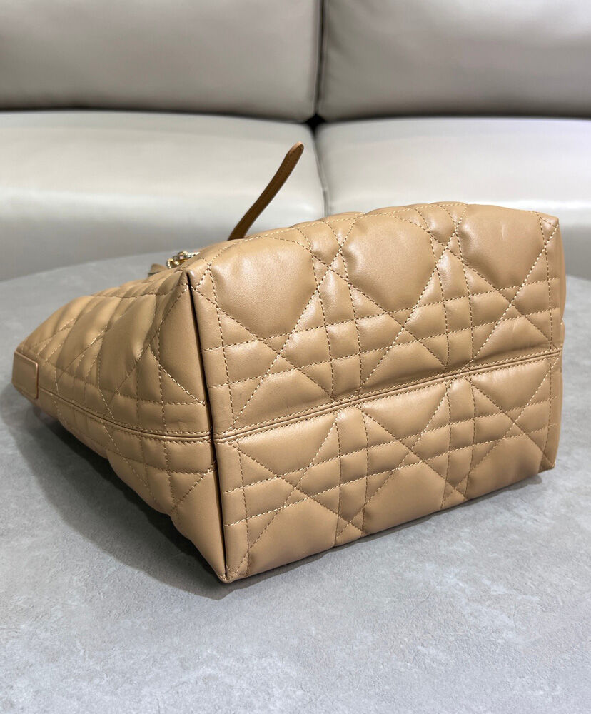 Medium Dior Toujours Vertical Tote Bag