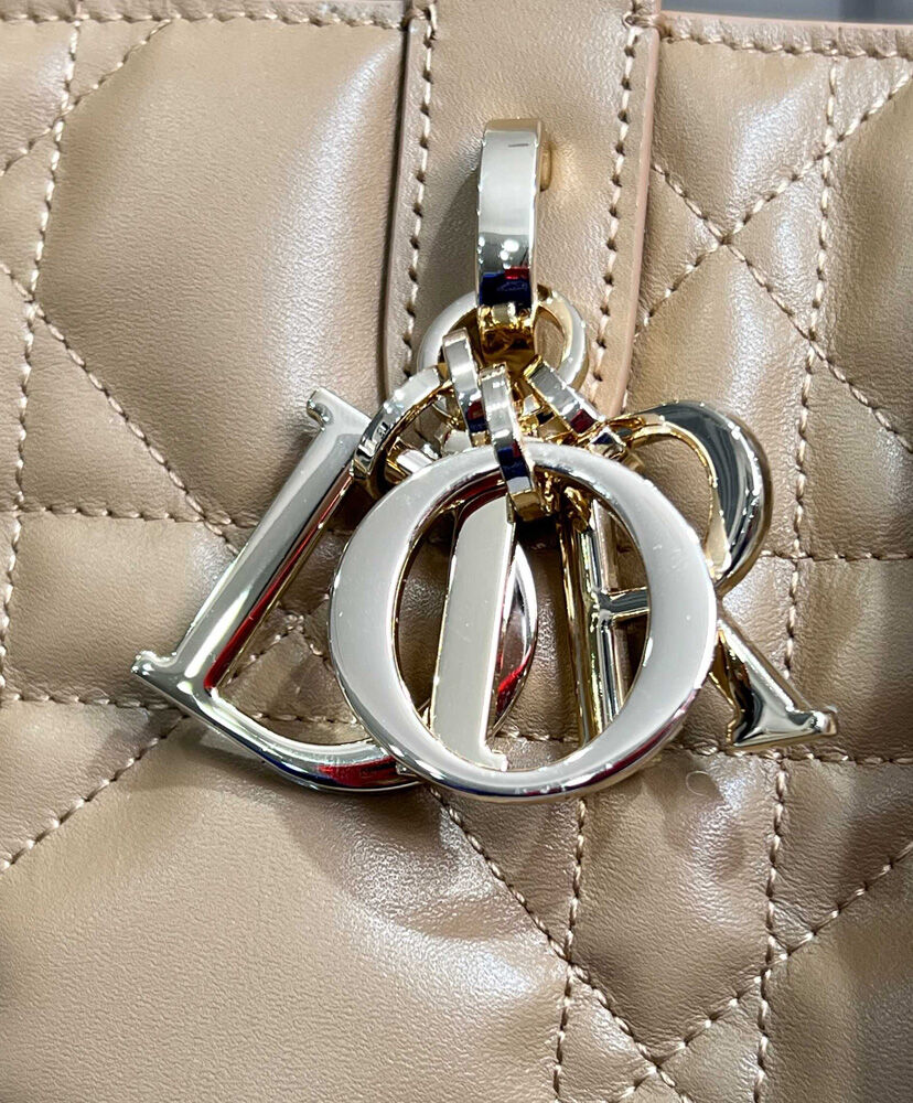 Medium Dior Toujours Vertical Tote Bag