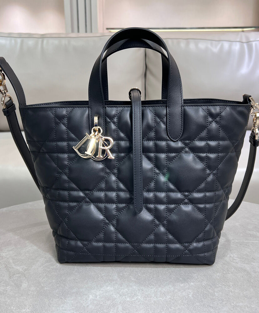 Medium Dior Toujours Vertical Tote Bag