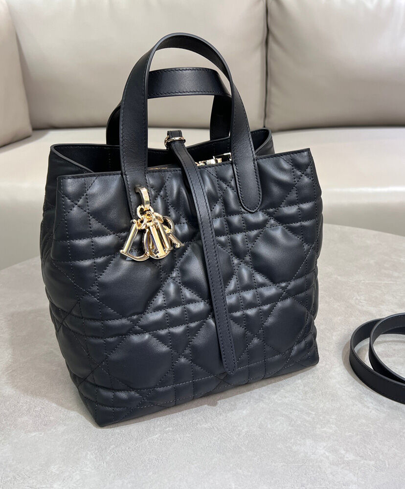 Medium Dior Toujours Vertical Tote Bag
