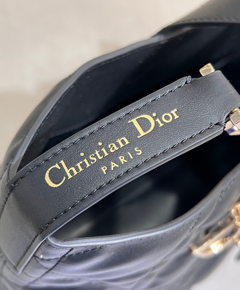 Medium Dior Toujours Vertical Tote Bag