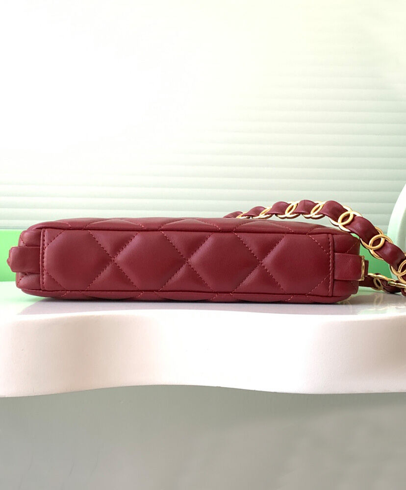 Hobo Handbag