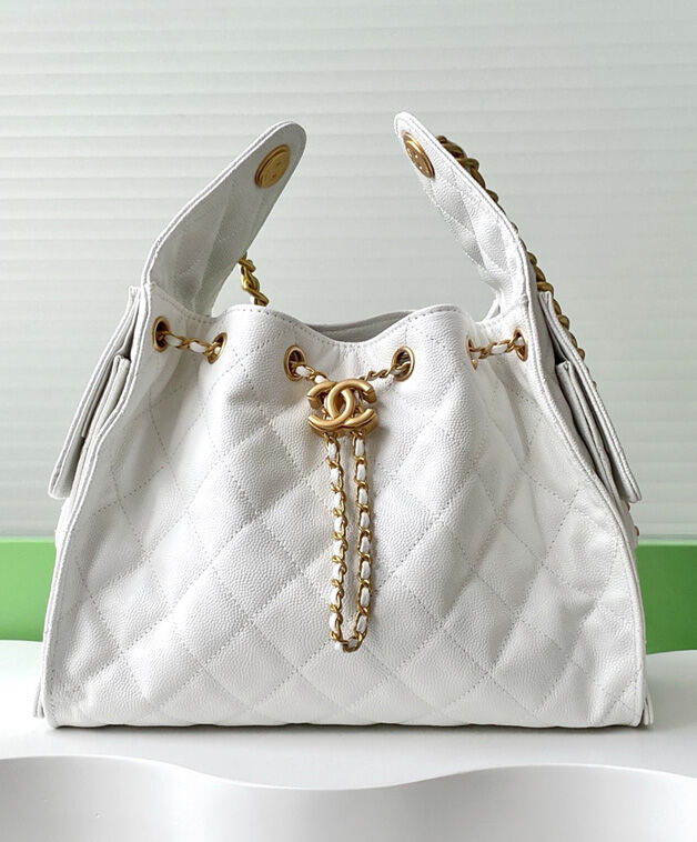 Chanel 25 Small Handbag