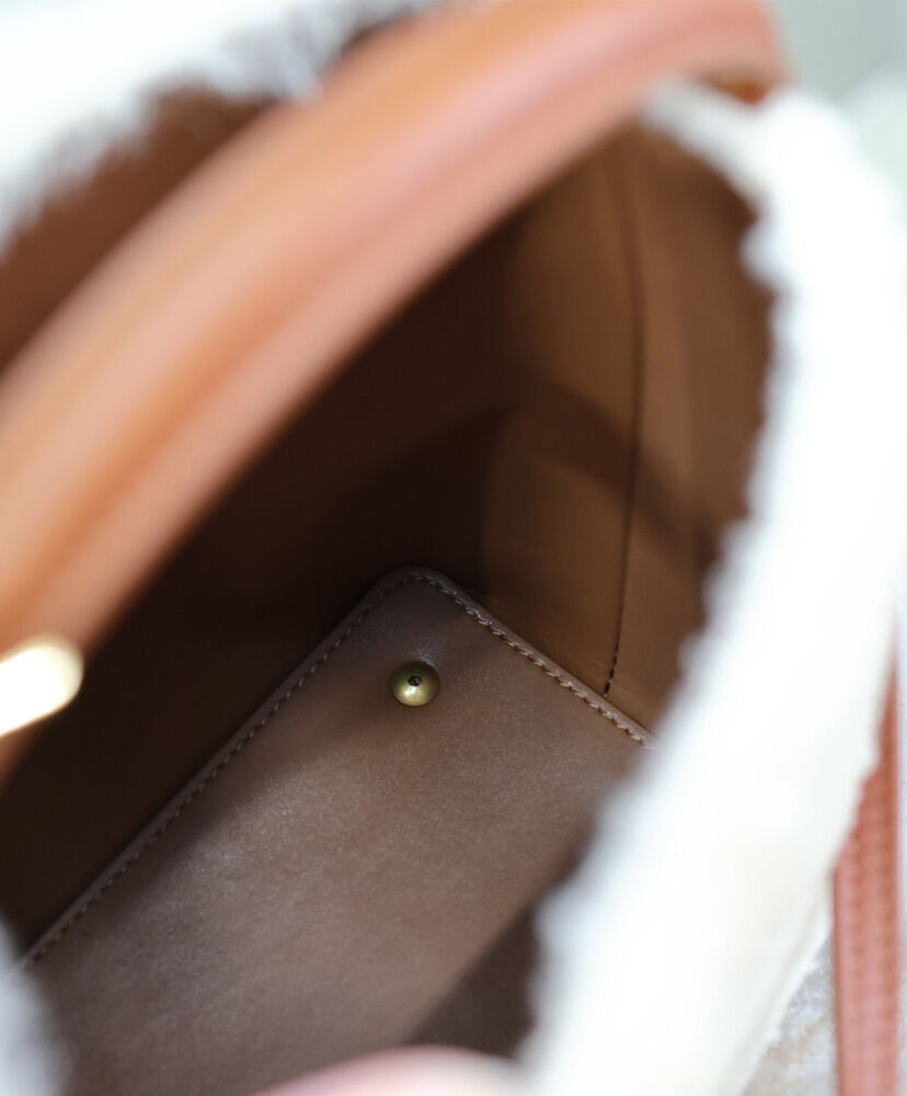 Le 37 Mini Shearling Bucket Bag